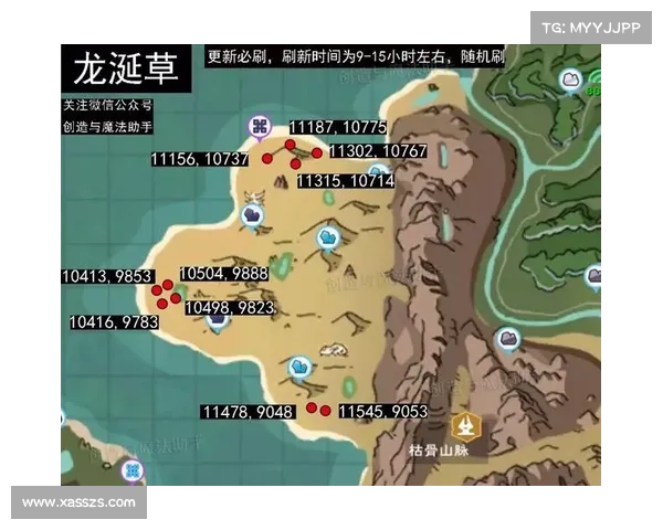 暴君刷新时间调整策略详解与应对方案解析 暴君刷新时间调整策略详解与应对方案解析