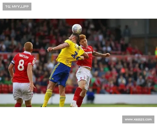 全面掌握英冠赛事的关键要素与历史背景解析 全面掌握英冠赛事的关键要素与历史背景解析